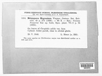 Image Associated With the Occurence